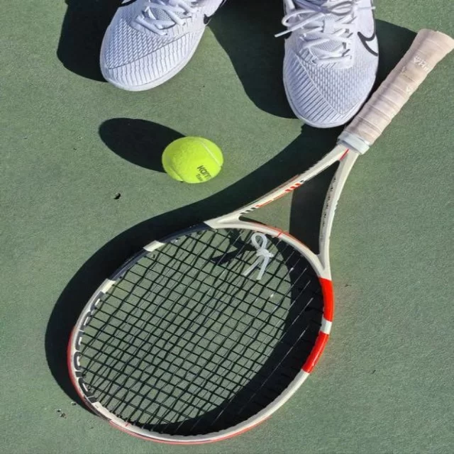 从数据视角解析篮球季后赛走势 第421组深度分析 | crownsports